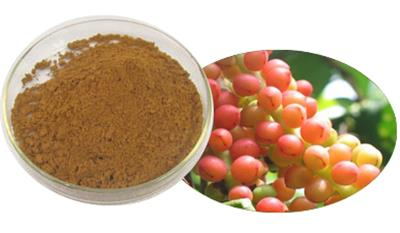 Schisandra Berries Extract จากผลกระทบ